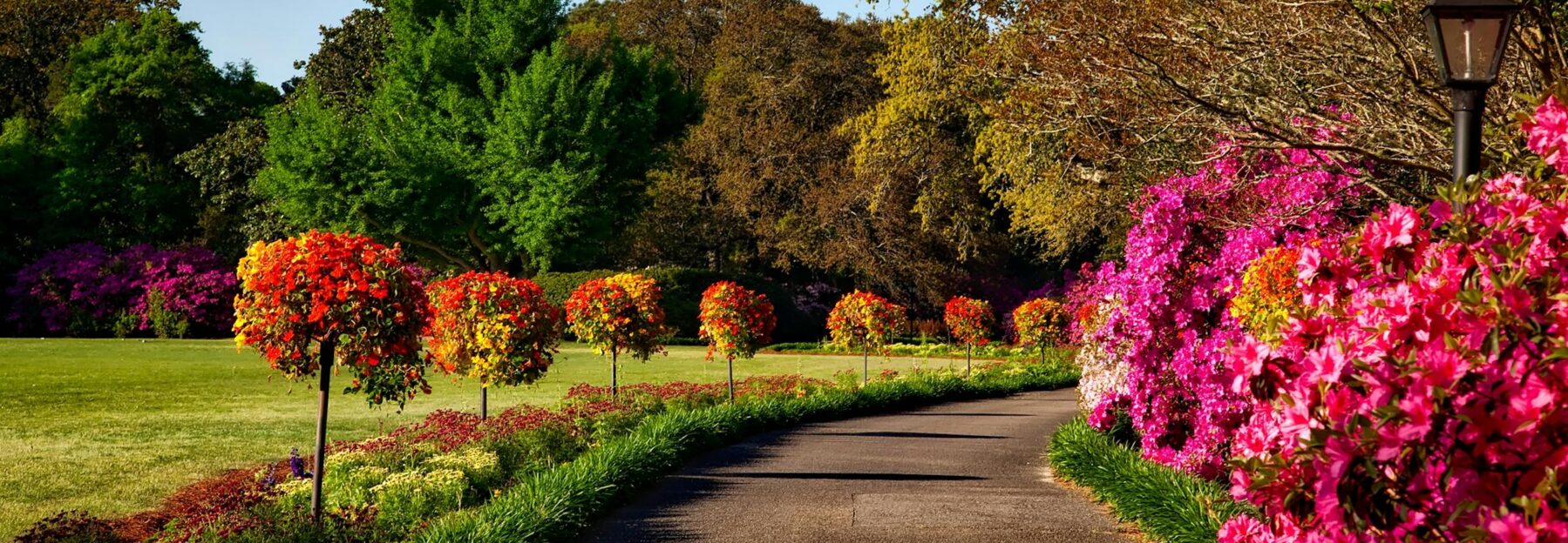 Jardinería en Huesca – Oliva Medio Ambiente y Servicios